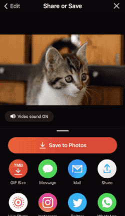 Merging your videos, photos, and gifs ➕🌄 – ImgPlay