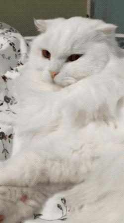 resized__sticker_sample.gif