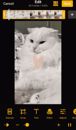 animate_sticker.gif