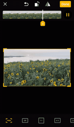 flip.2019-08-07_14_59_17.gif