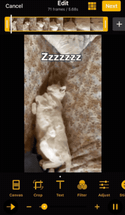 resized__edit_text.gif